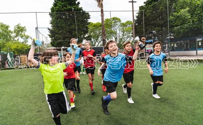 杏盛娱乐官网百度教育《揭秘足球：勇敢者的运动之谜》