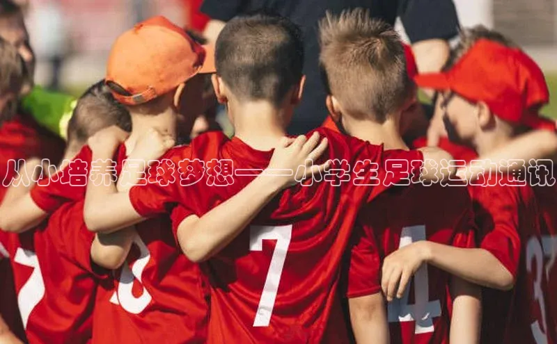 杏盛app官方下载最新版本更新内容百度取证从小培养足球梦想——小学生足球运动通讯