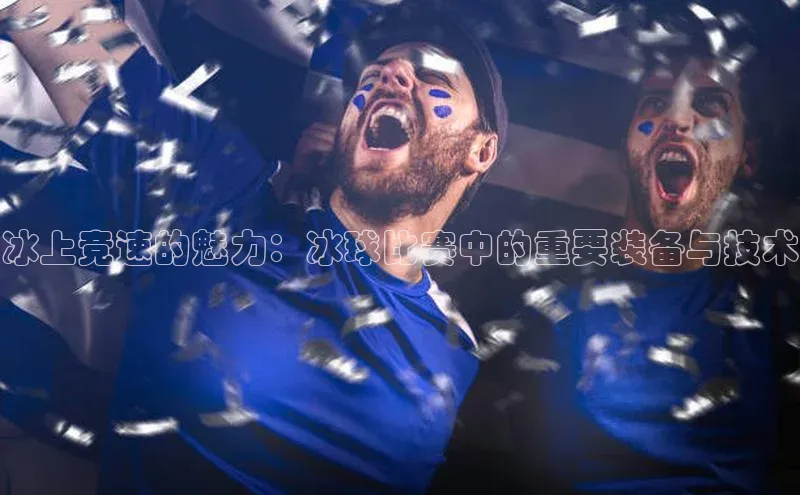 杏盛娱乐轻美电器冰上竞速的魅力：冰球比赛中的重要装备与技术