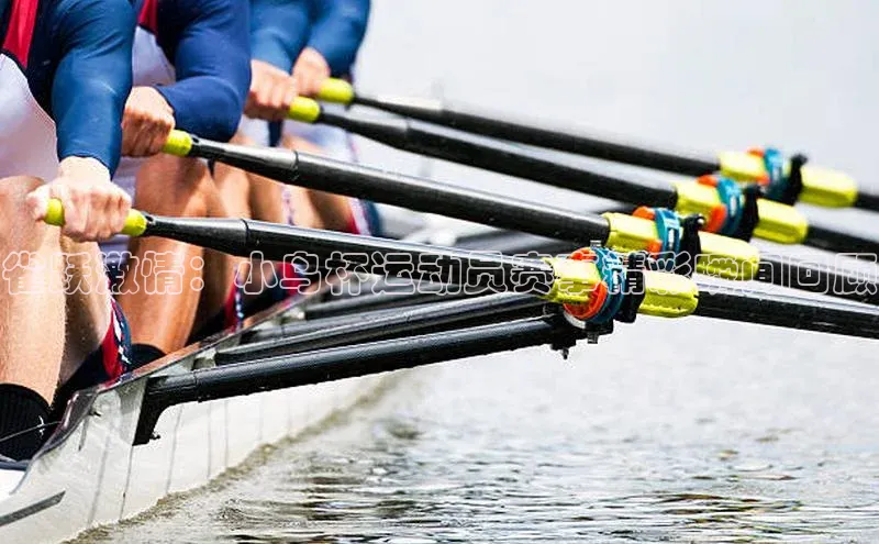 雀跃激情：小鸟杯运动员赛事精彩瞬间回顾