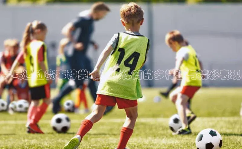 乒乓运动赛事种类：这项体育的多样性与精彩表现