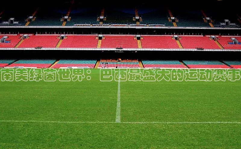 南美绿茵世界：巴西最盛大的运动赛事
