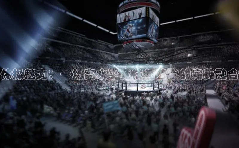 体操魅力：一场高水平竞技与艺术的完美融合