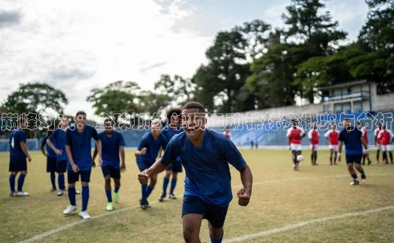 巅峰对决：全球顶级单项运动锦标赛概览与分析