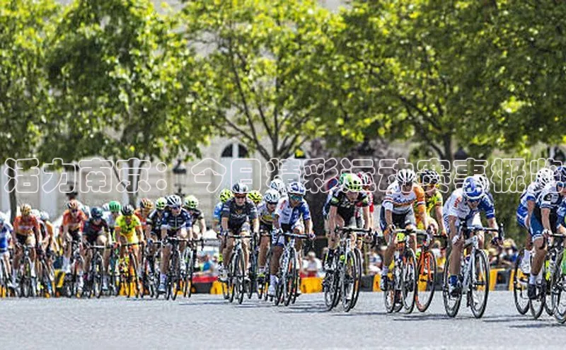 活力南京：今日精彩运动赛事概览