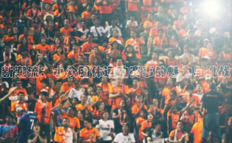 新潮流：小众团体运动赛事的魅力与挑战