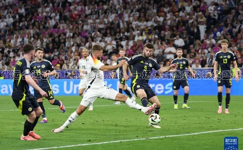 省运会运动场上的精彩赛事：一场体育盛宴的视觉盛宴