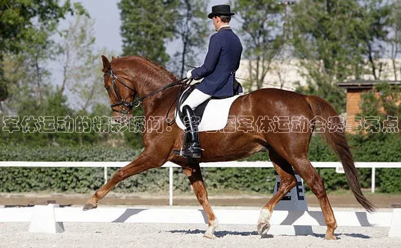 军体运动的精彩瞬间：第七届军体运动会赛事亮点