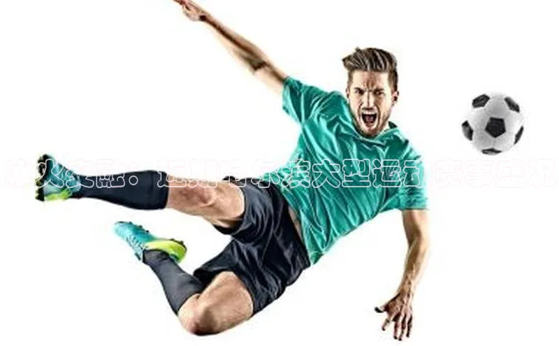 冰火交融：近期哈尔滨大型运动赛事盛况