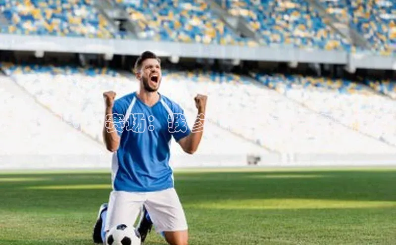 活力四射的赛场：我参加的运动会赛事经历