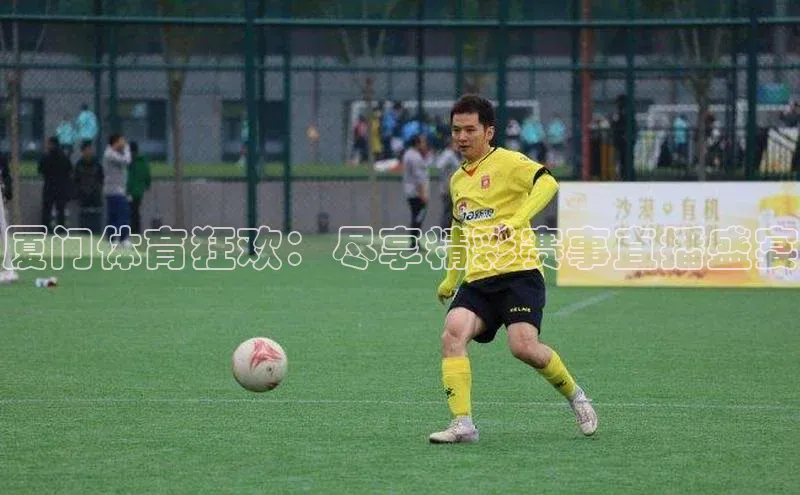 杏盛测速app官方下载最新版