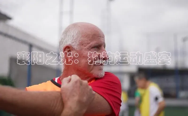 襄阳之光：狗狗运动盛宴