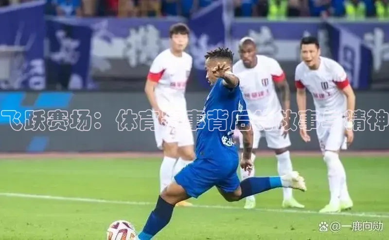 飞跃赛场：体育赛事背后的故事与精神