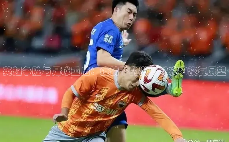 杏盛平台代理